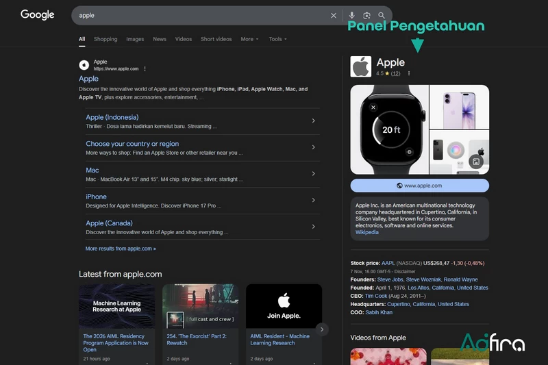 Panel Pengetahuan Google.